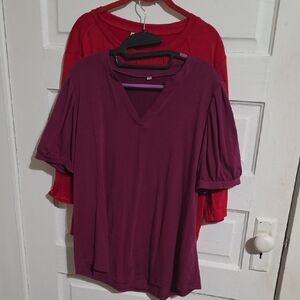 Source Unknown 2 Blouses 1 V-Neck Burgandy 1  Round Neck Red Short Sleeve Tops